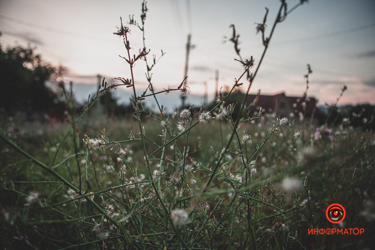 Все отдыхает от дневной жары Все отдыхает от дневной жары