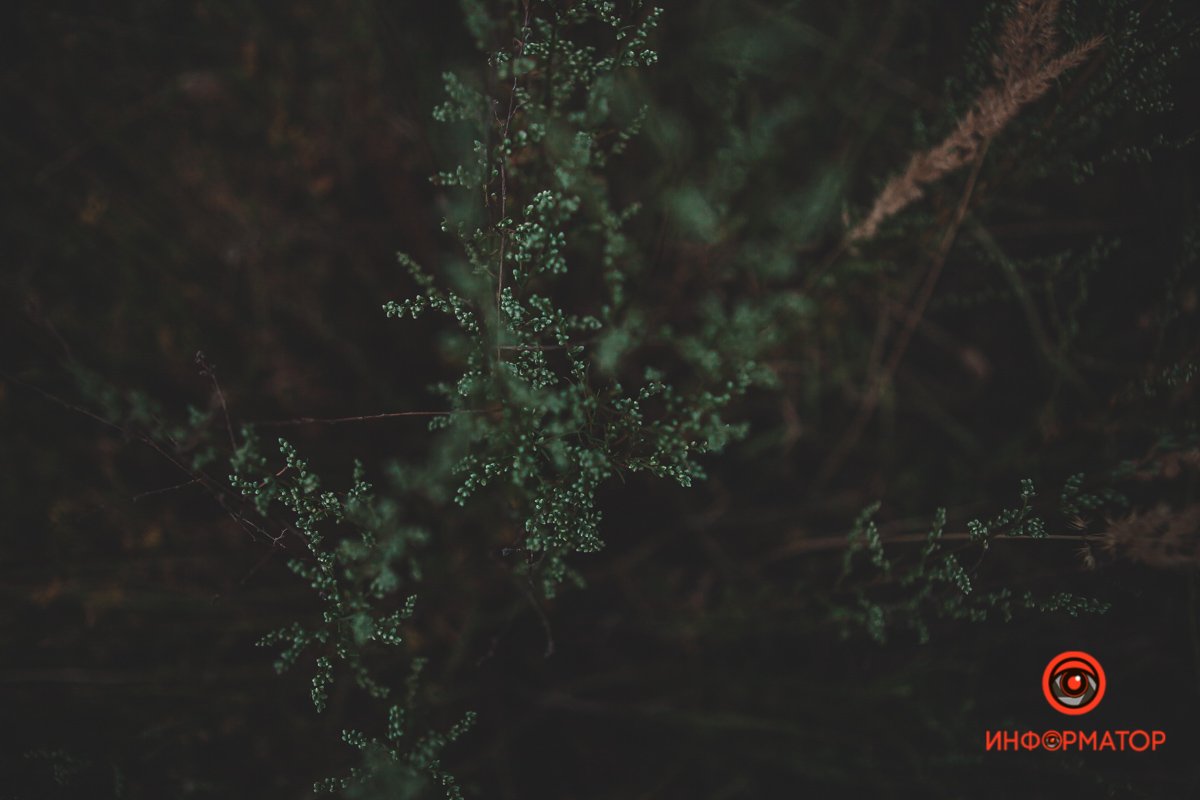 Фото: Валентин Валах Фото: Валентин Валах