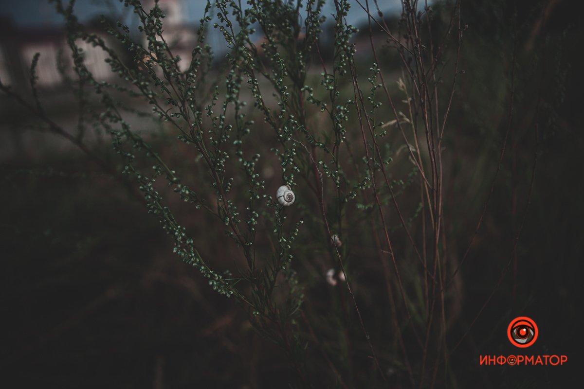 Лето - это маленькая жизнь Лето - это маленькая жизнь