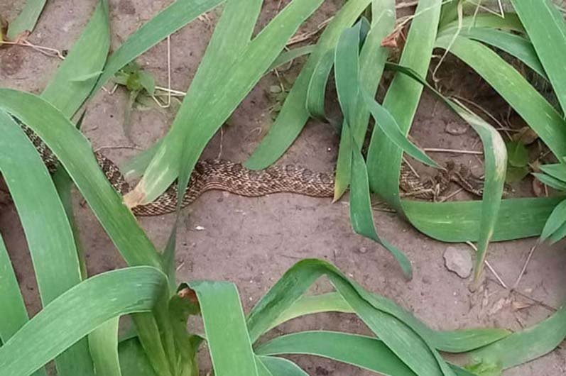 Вызов поступил в 18:21