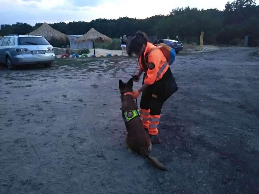 На поиски подростка были ориентированы все наряды полиции, волонтеры и кинологи На поиски подростка были ориентированы все наряды полиции, волонтеры и кинологи