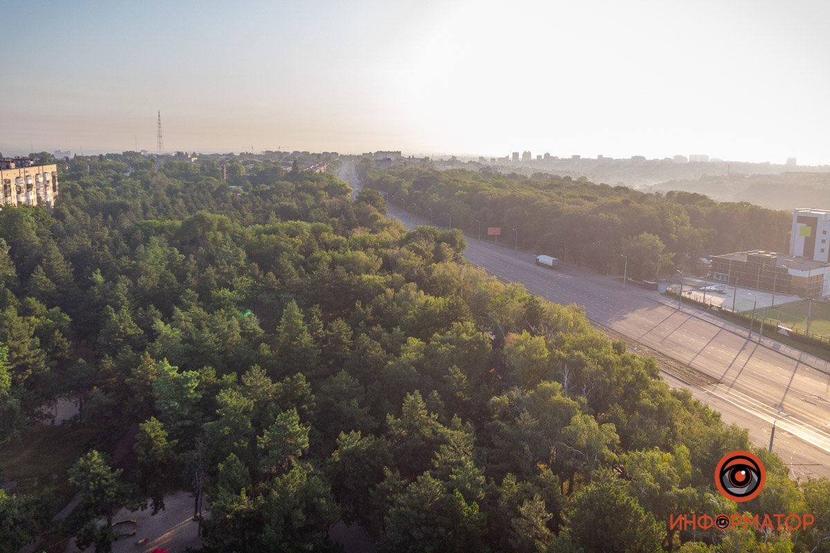 Солнечные лучи пытаются пробиться сквозь сосновые иголки, но попытки тщетны Солнечные лучи пытаются пробиться сквозь сосновые иголки, но попытки тщетны