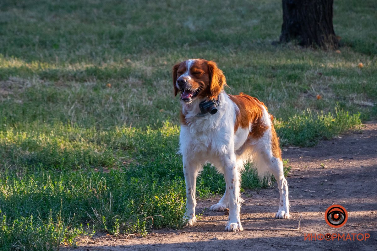 А вот и ранние гости парка! А вот и ранние гости парка!