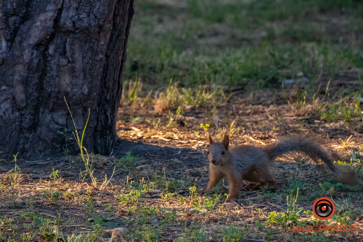 Бусинка Бусинка