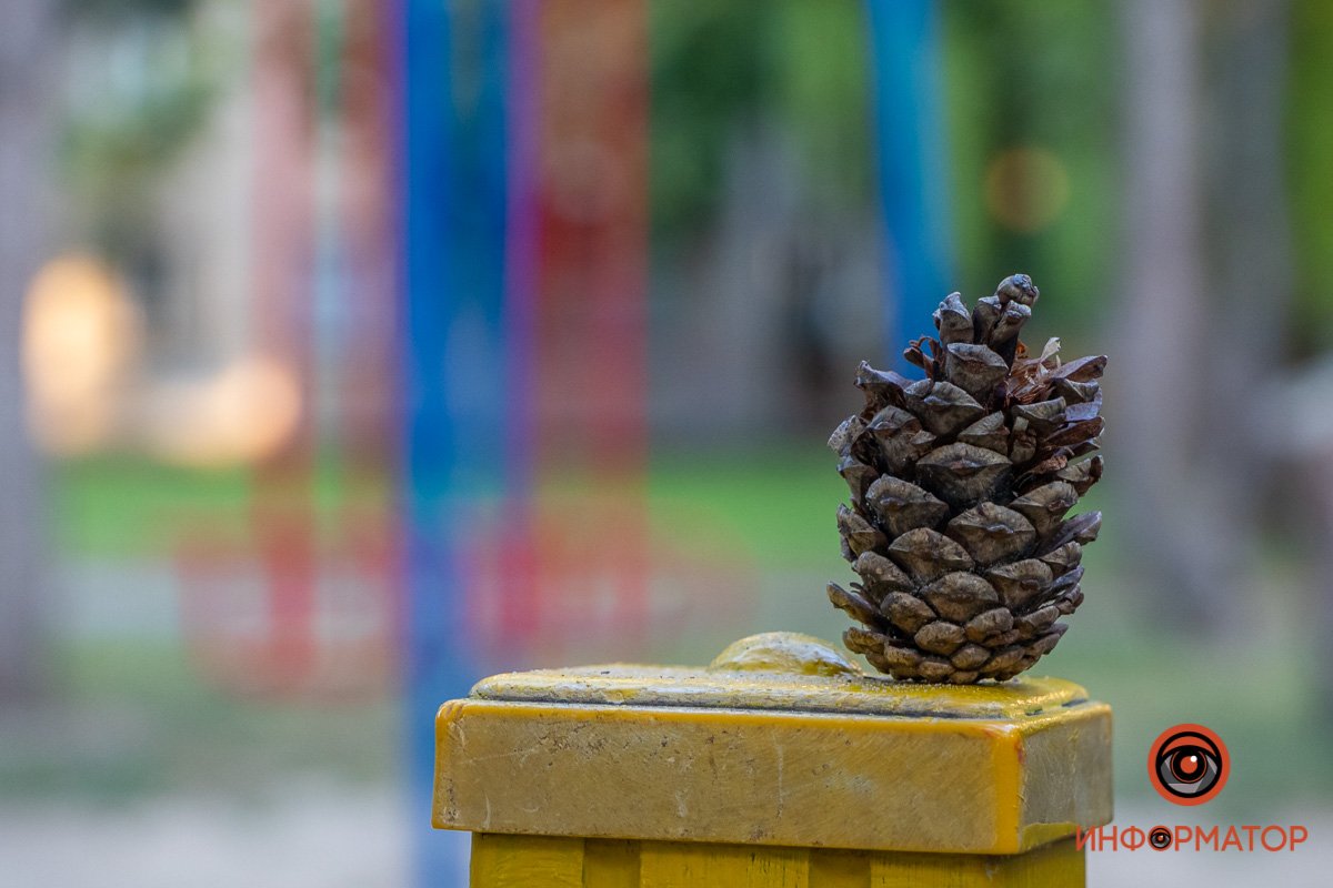 А в сентябре это станет чьей-то поделкой А в сентябре это станет чьей-то поделкой
