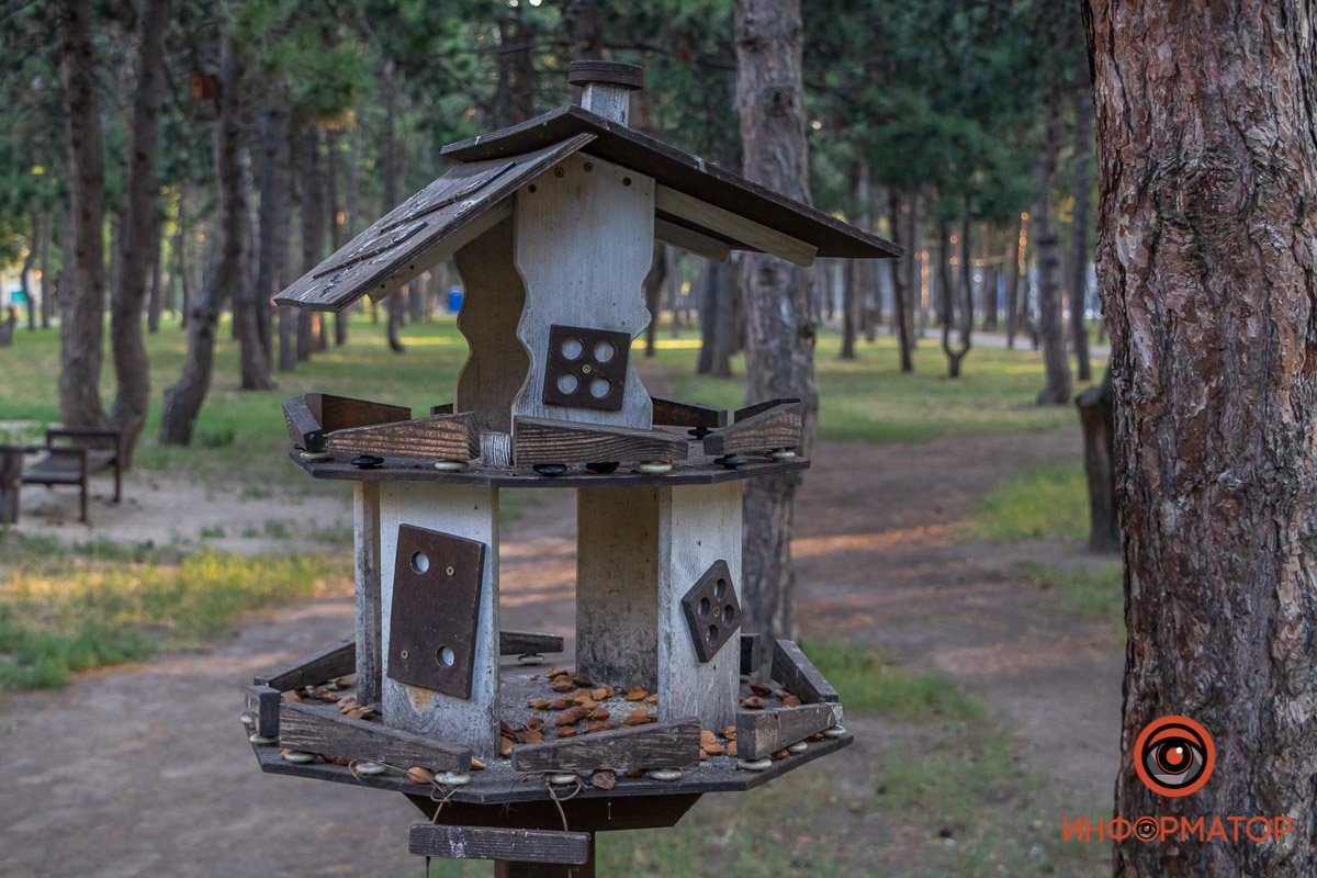 Идеально дополняет картинку Идеально дополняет картинку