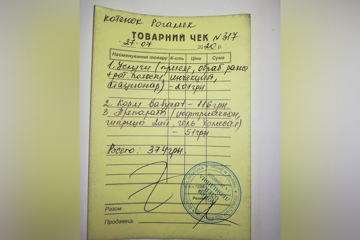 Волонтеры отдали последние деньги на прием в клинике и день стационара Волонтеры отдали последние деньги на прием в клинике и день стационара