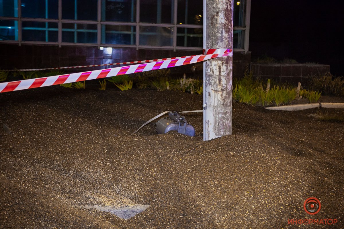 Все усыпано плодами подсолнечника