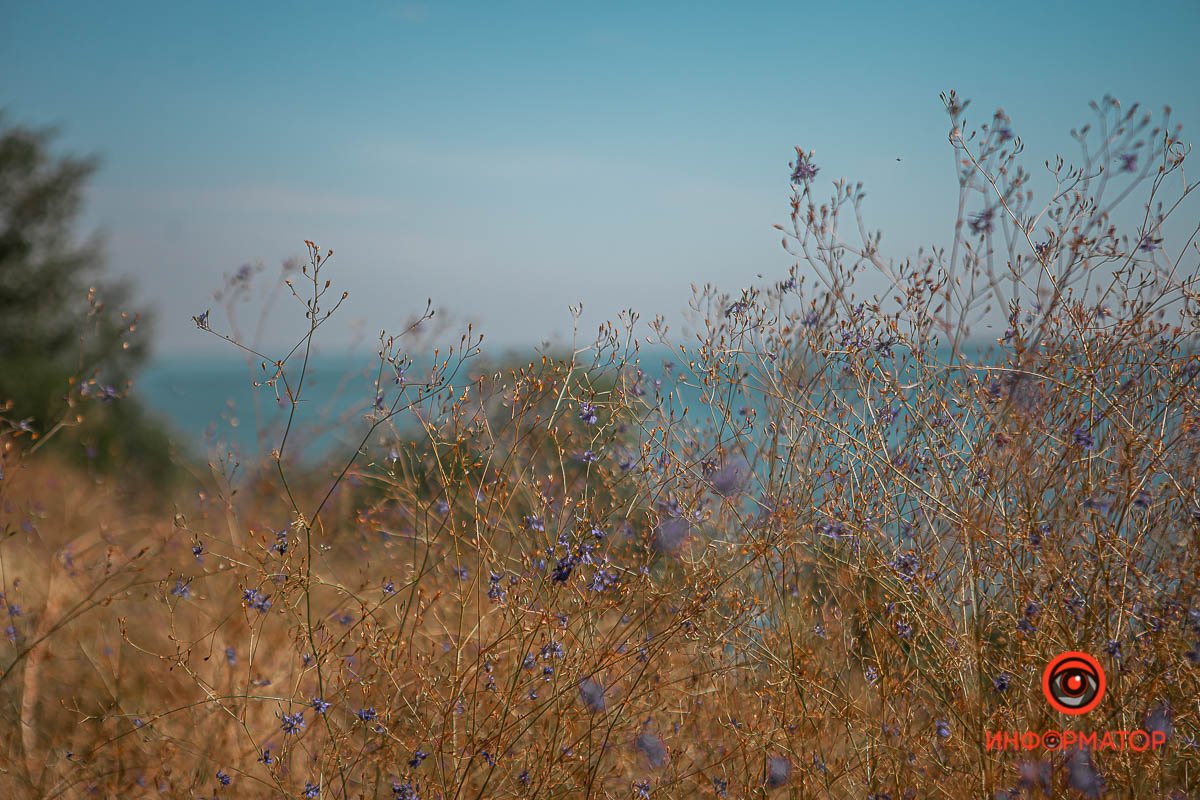 Где в Днепре находилась крепость Ивана Мазепы 13