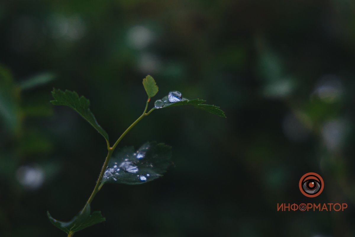 Как выглядит Днепр в последний июльский дождливый день 2