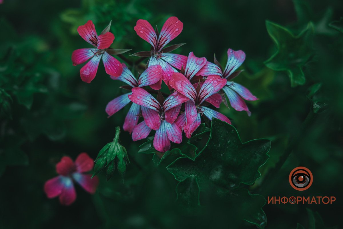 Как выглядит Днепр в последний июльский дождливый день 22