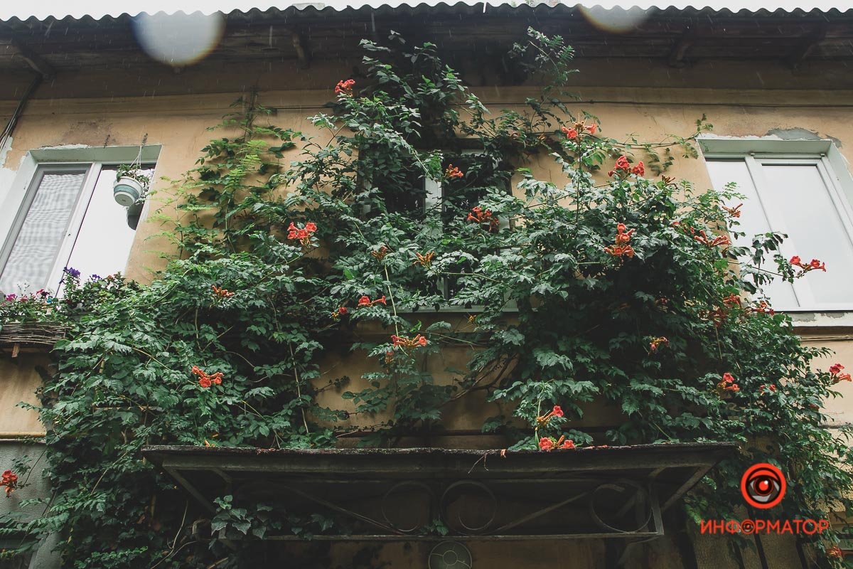 Ненужные игрушки, котики и кормушки: как выглядят старые дворики в Днепре 5