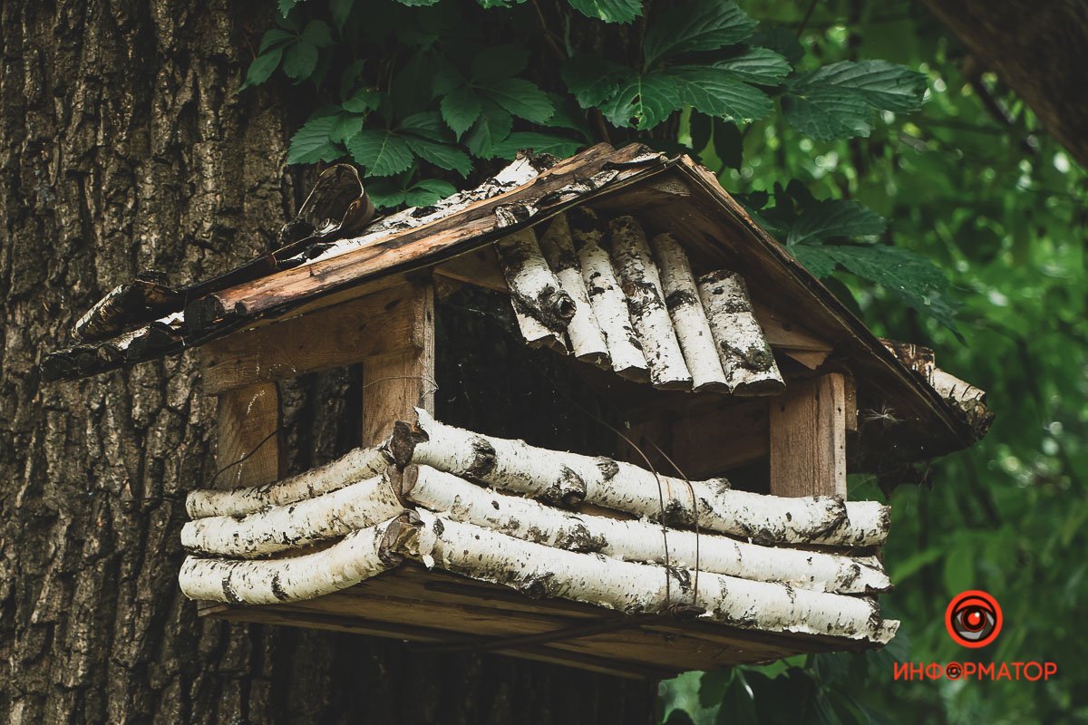 Ненужные игрушки, котики и кормушки: как выглядят старые дворики в Днепре 7