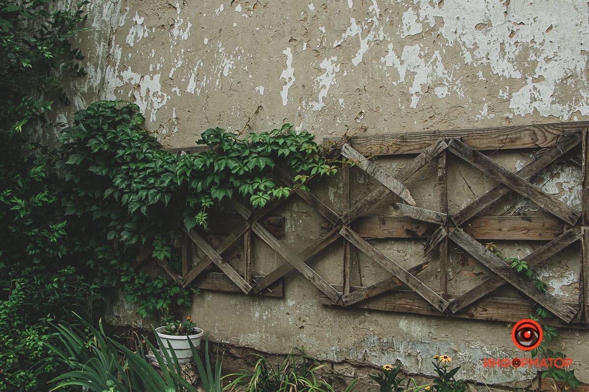 Ненужные игрушки, котики и кормушки: как выглядят старые дворики в Днепре 11