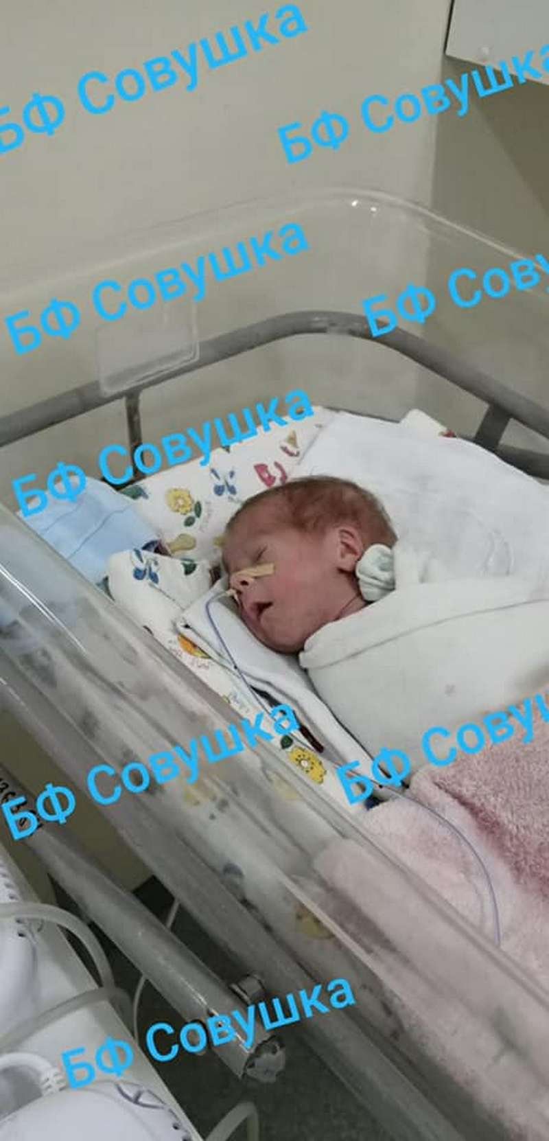 С их появлением семья стала многодетной