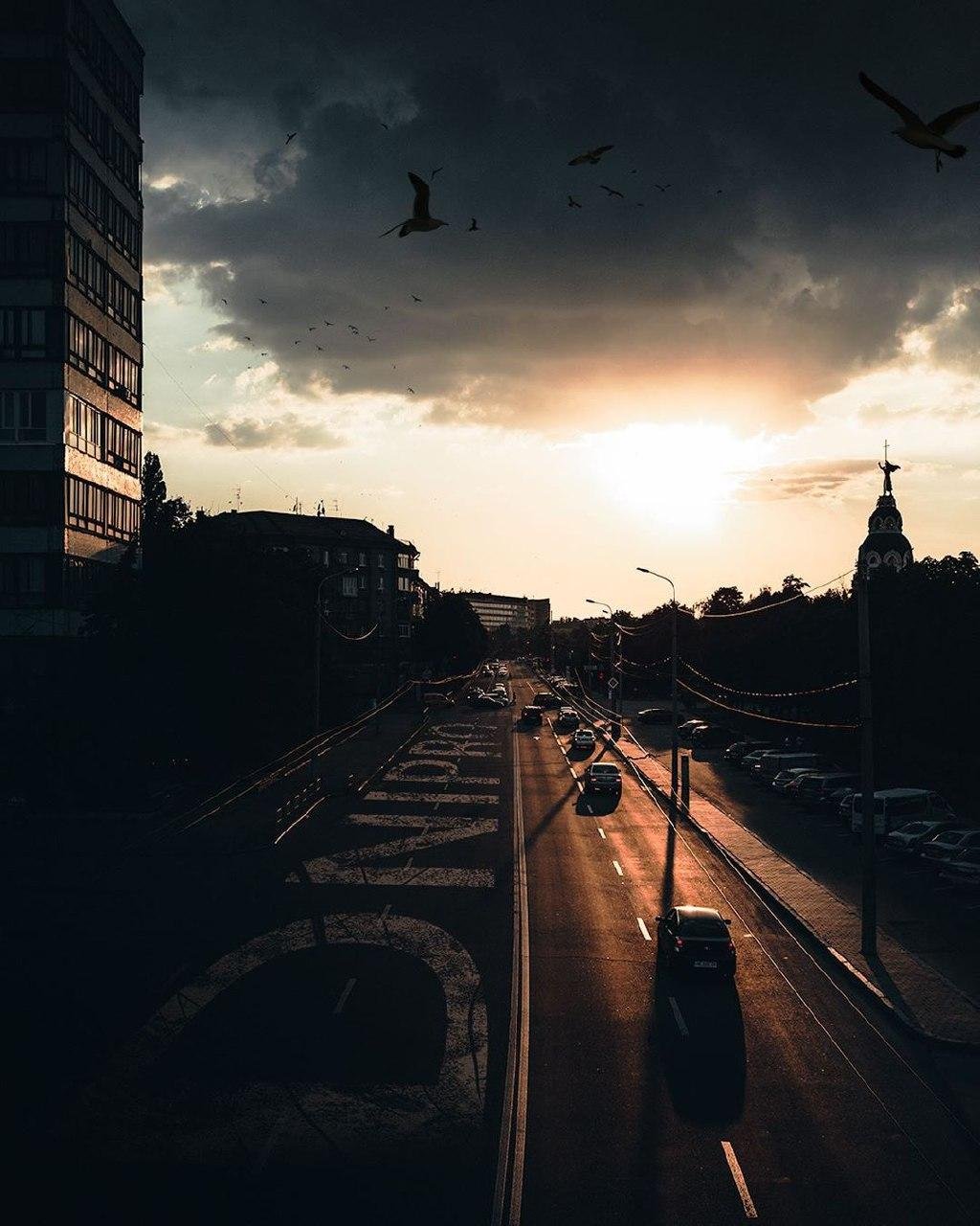 Фото: @artemlazarev_ph