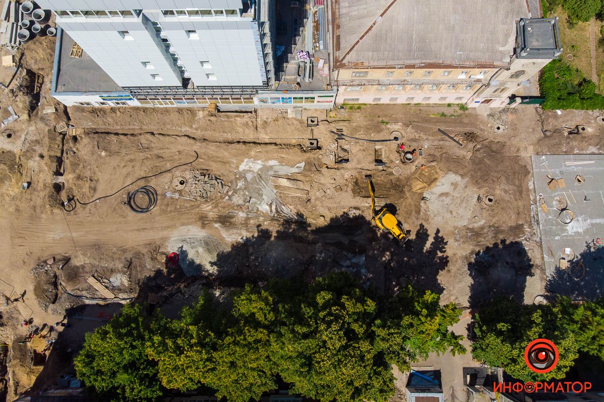 Вместо них высадят 80 дубов