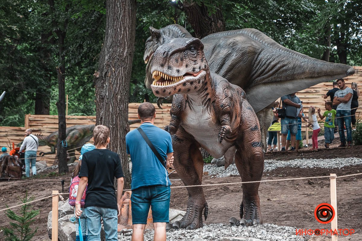 — Я думала, эти ребята вымерли... — Тогда это очень рассерженное привидение! — Я думала, эти ребята вымерли... — Тогда это очень рассерженное привидение!