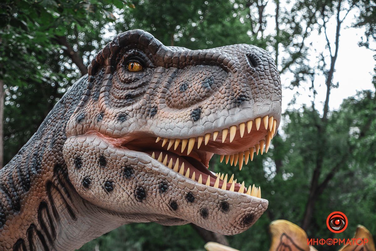 Говорят, динозавры вымерли потому, что их не гладили Говорят, динозавры вымерли потому, что их не гладили