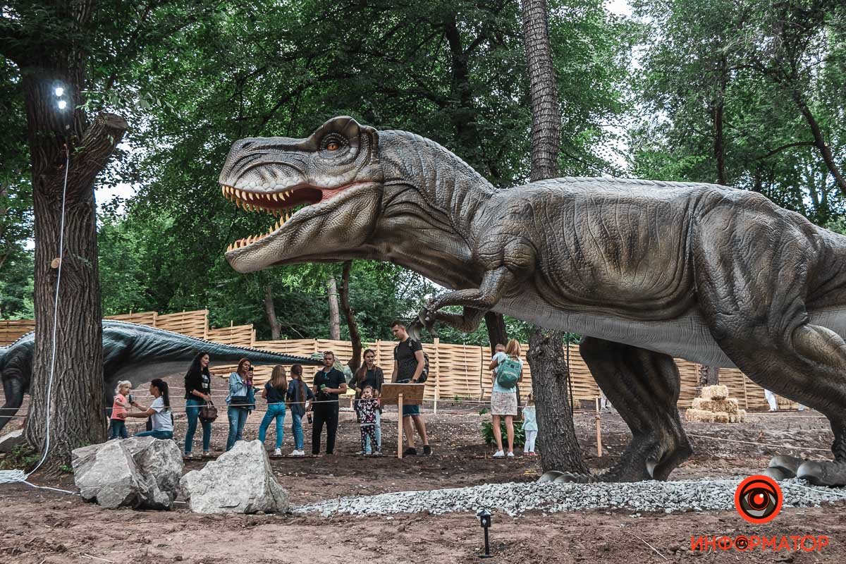 У динозавров мозг был с грецкий орех, а они правили на Земле шестьдесят миллионов лет У динозавров мозг был с грецкий орех, а они правили на Земле шестьдесят миллионов лет