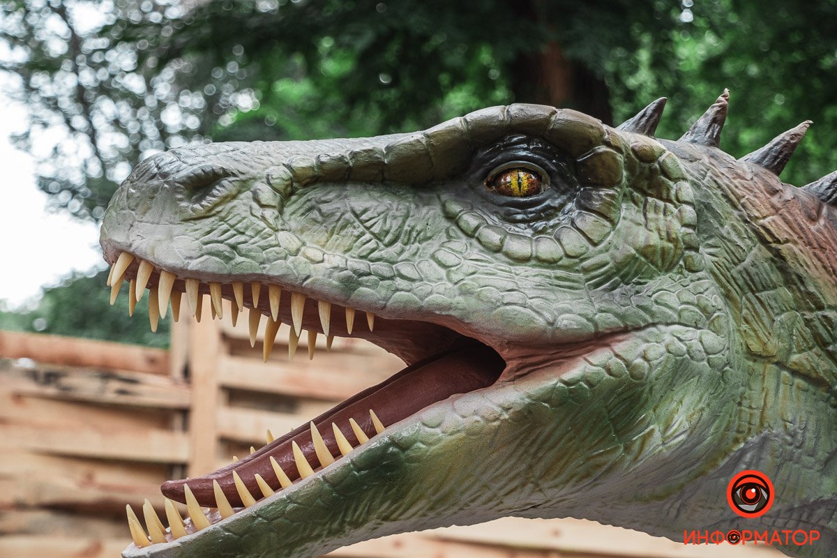 Рептилии реальных размеров Рептилии реальных размеров