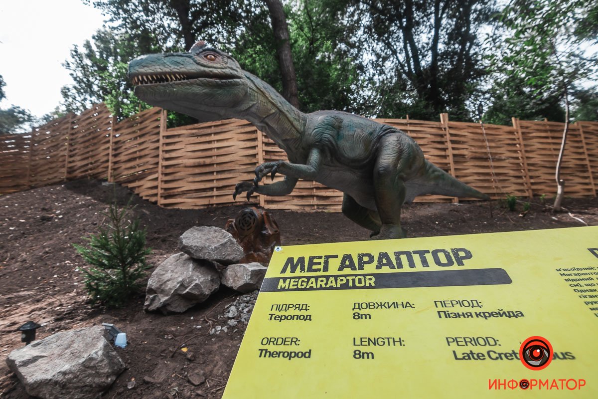 Знакомьтесь, мегараптор Знакомьтесь, мегараптор