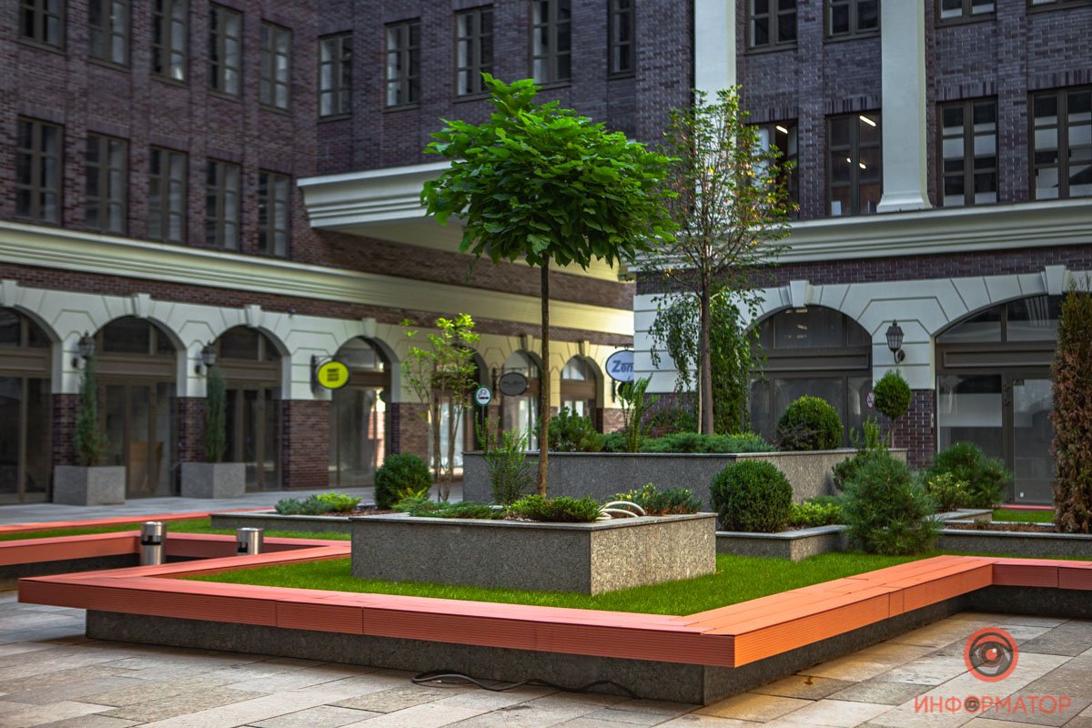 Оазис среди царства раскаленного асфальта