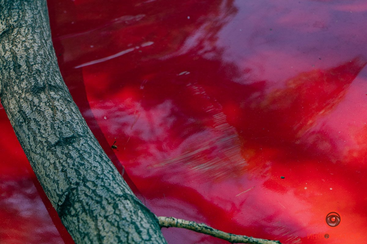 В результате инцидента пробито лобовое стекло, погнут и поцарапан капот В результате инцидента пробито лобовое стекло, погнут и поцарапан капот