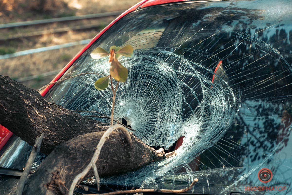 Хозяин автомобиля сообщил о произошедшем в полицию Хозяин автомобиля сообщил о произошедшем в полицию