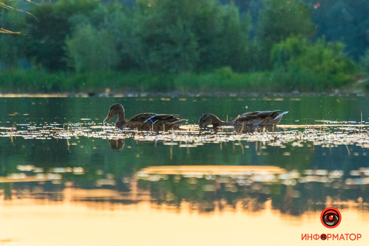 Пробуждение Пробуждение