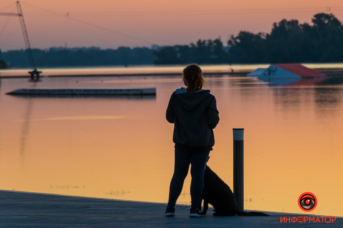 Выгулять четвероногого друга - сделано Выгулять четвероногого друга - сделано