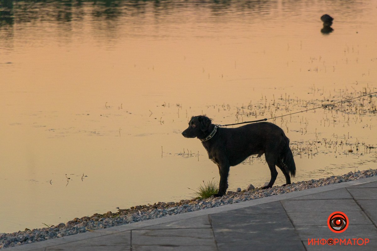 Прогулка по расписанию Прогулка по расписанию