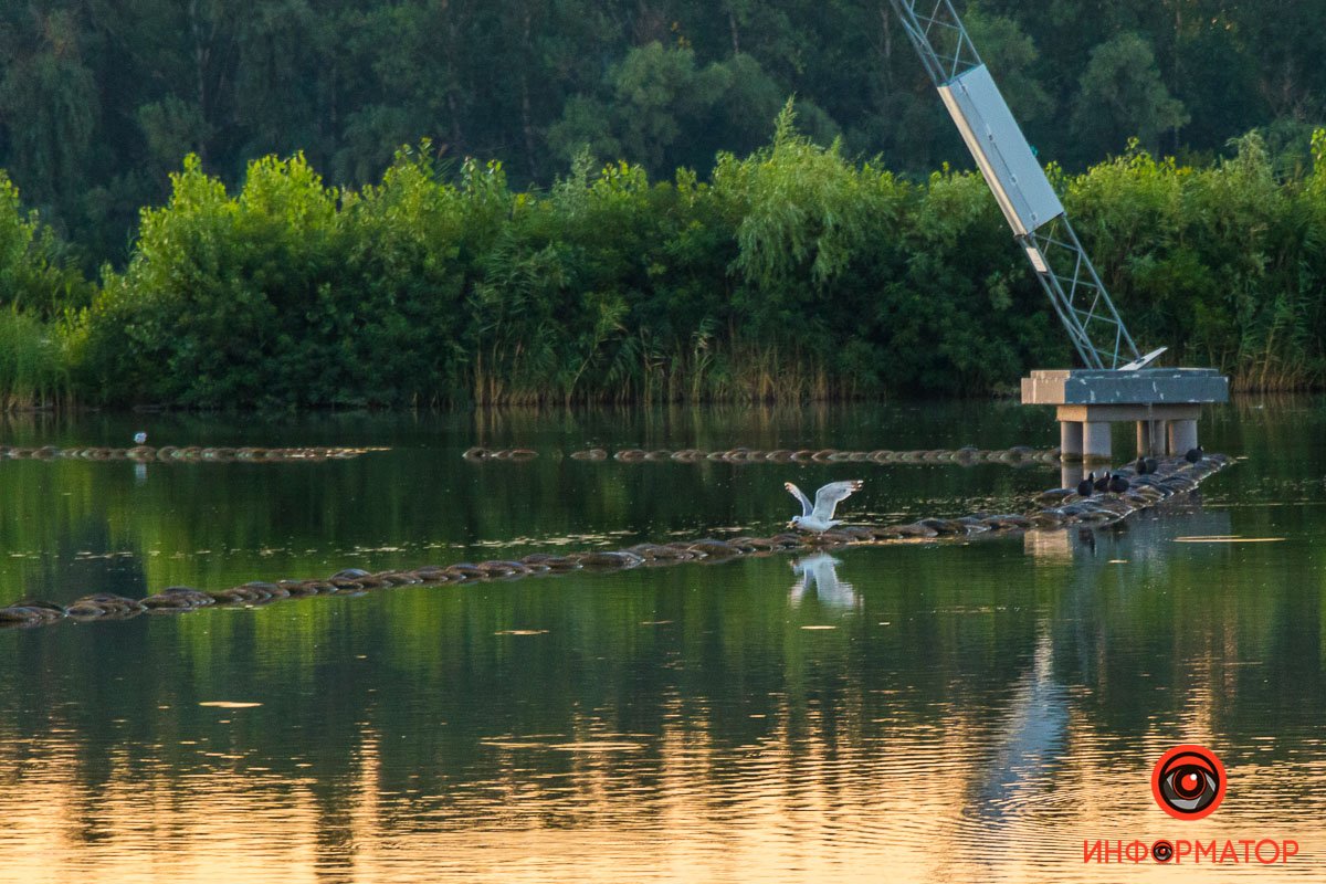 Завтрак подоспел Завтрак подоспел