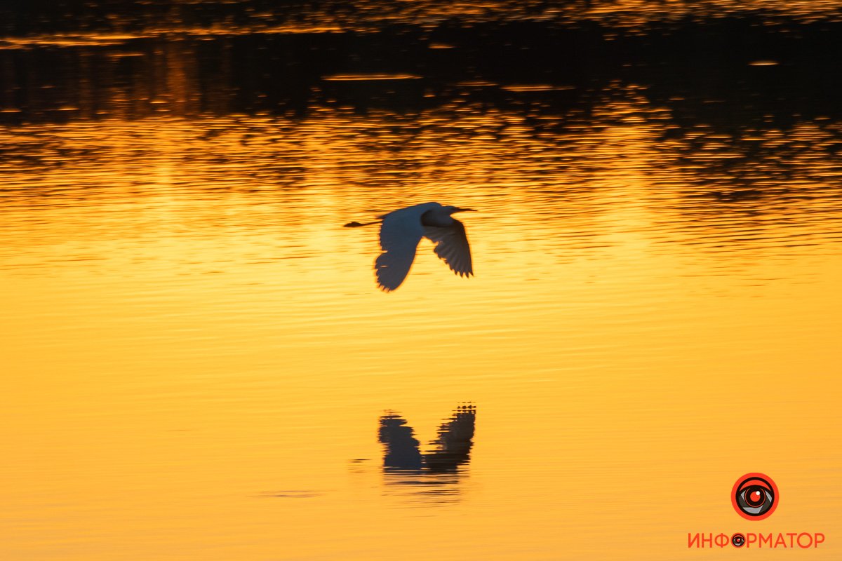 Все дело в отражении Все дело в отражении