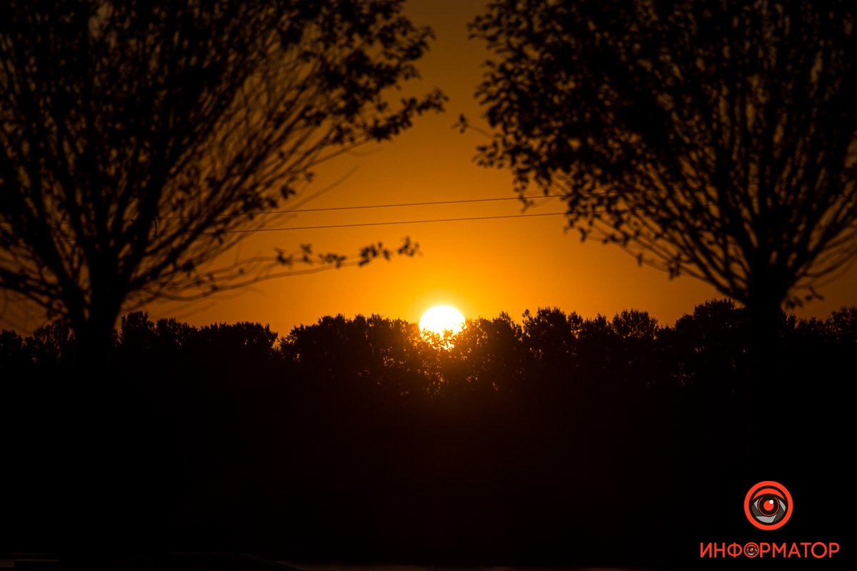 Притаилось Притаилось