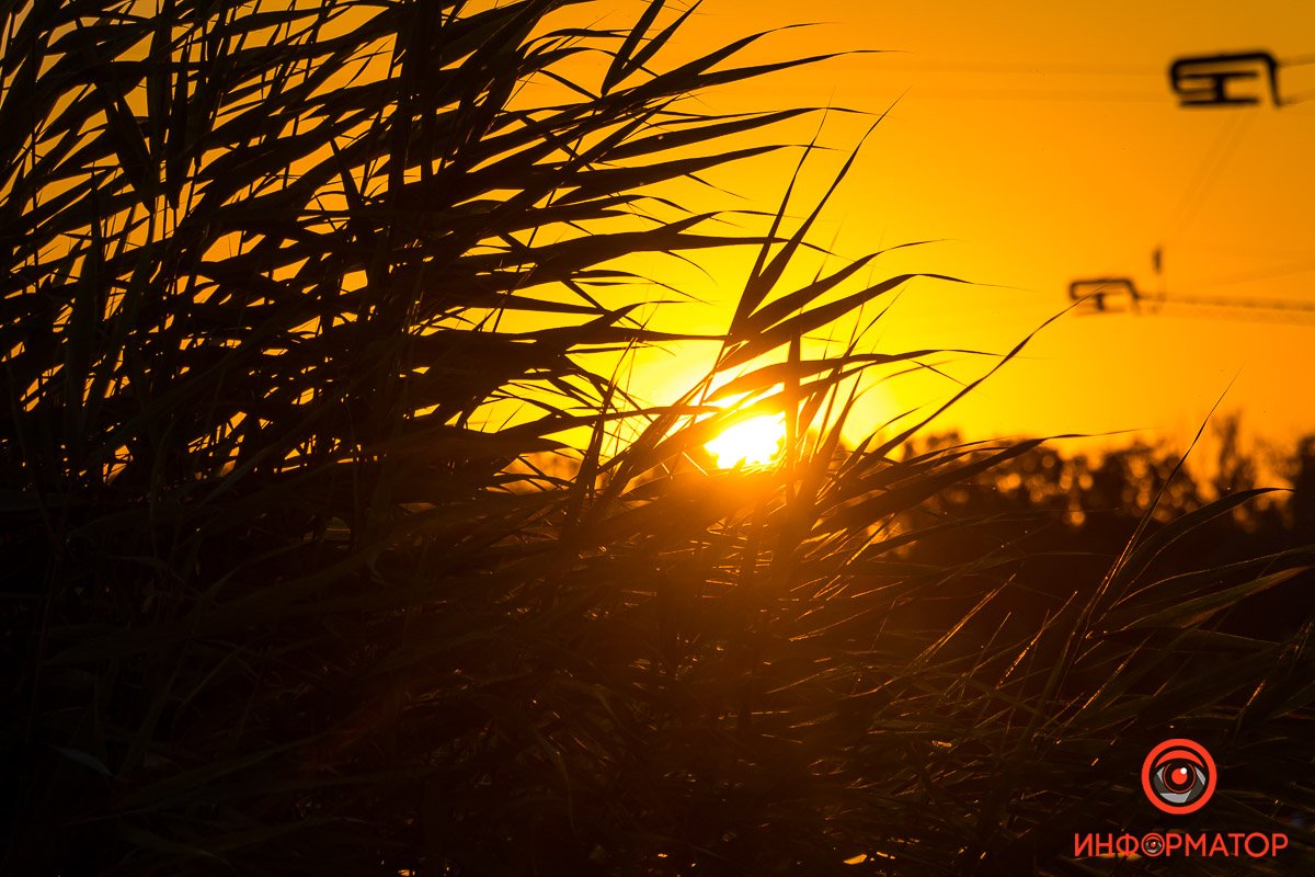 Солнце все выше Солнце все выше