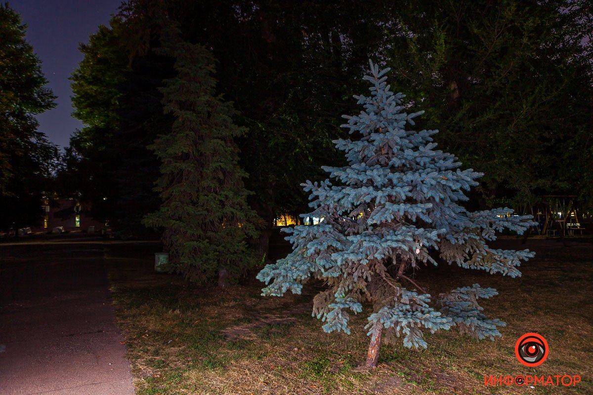Освещение в парке отсутствует