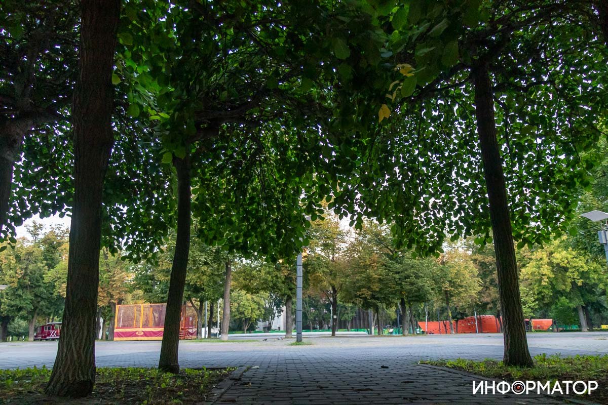 Отдых в тени Отдых в тени