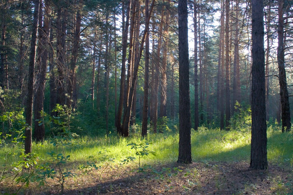 Обучение яхтингу, восточные танцы и настольные тренинг-игры: какие курсы пройдут в Днепре на следующей неделе 7