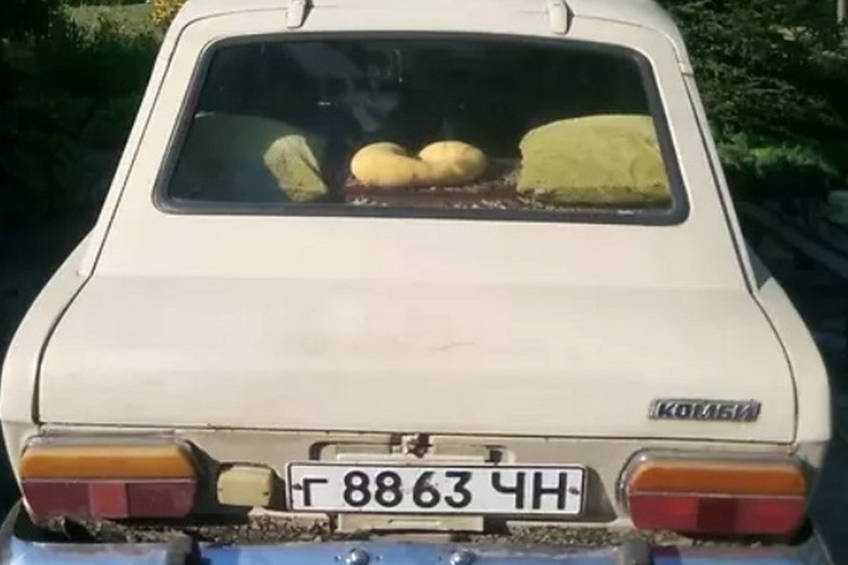 Возможен торг Возможен торг