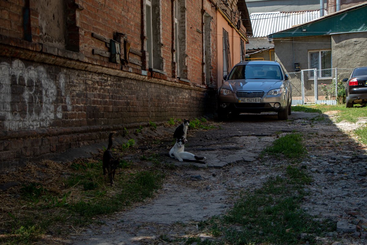 Выборы в Днепре. Округ Артема Павлова: разруха от Гагарина до Победы 6