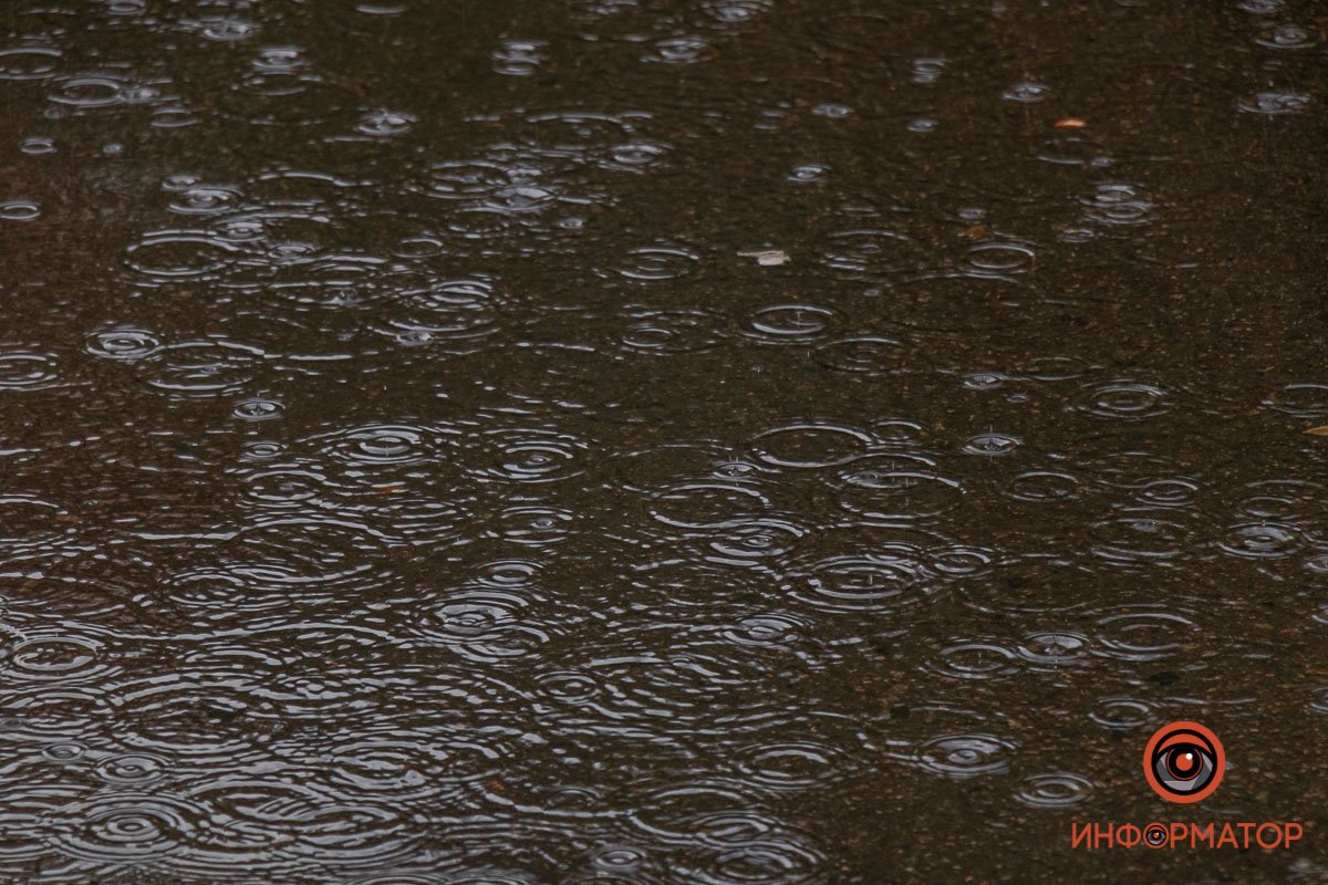 Долгожданный дождь Долгожданный дождь