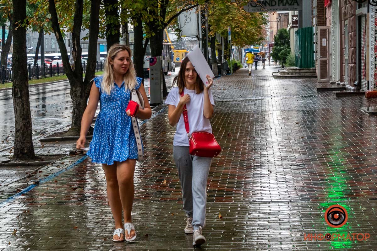 Спасаются от дождя Спасаются от дождя