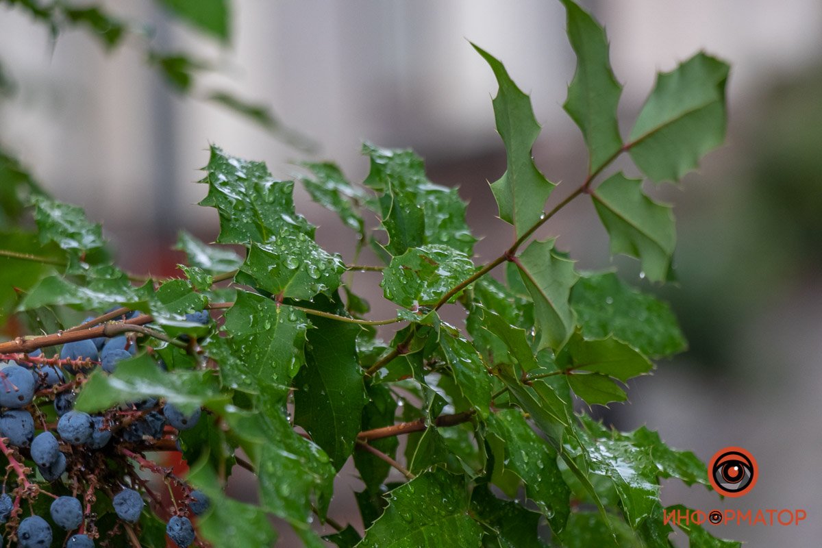 Мир прекрасен Мир прекрасен