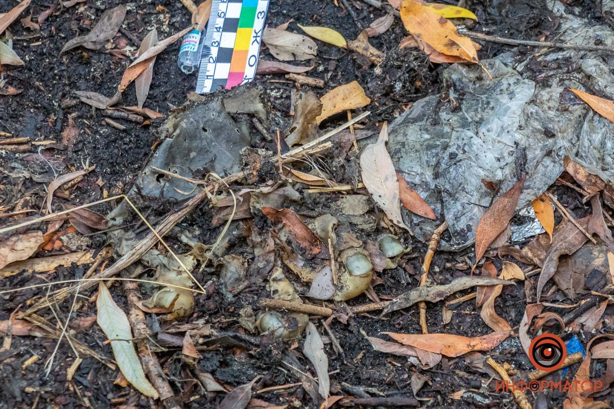 В посадке обнаружили часть руки В посадке обнаружили часть руки