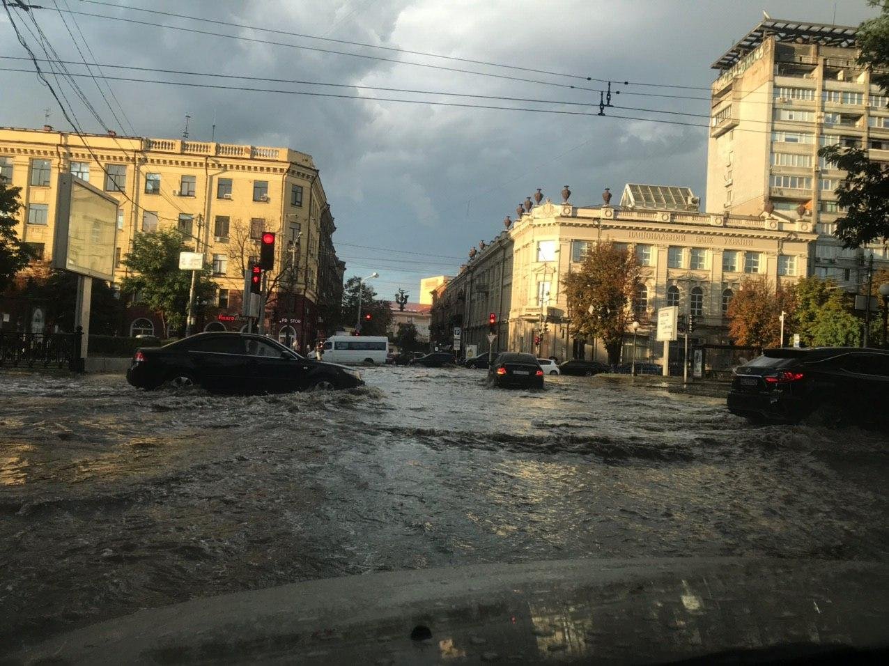 В Днепре прошла буря с градом: в центре повалило деревья 12