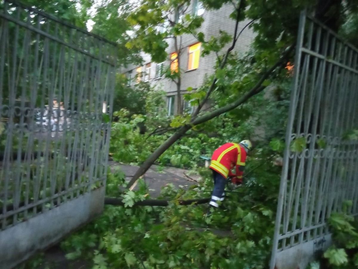 Затопленные машины с людьми, поваленные деревья, парализованное движение: последствия бури в Днепре 1