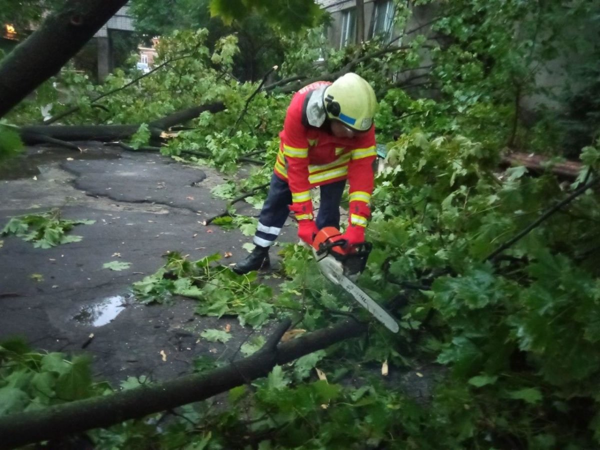 Затопленные машины с людьми, поваленные деревья, парализованное движение: последствия бури в Днепре 3