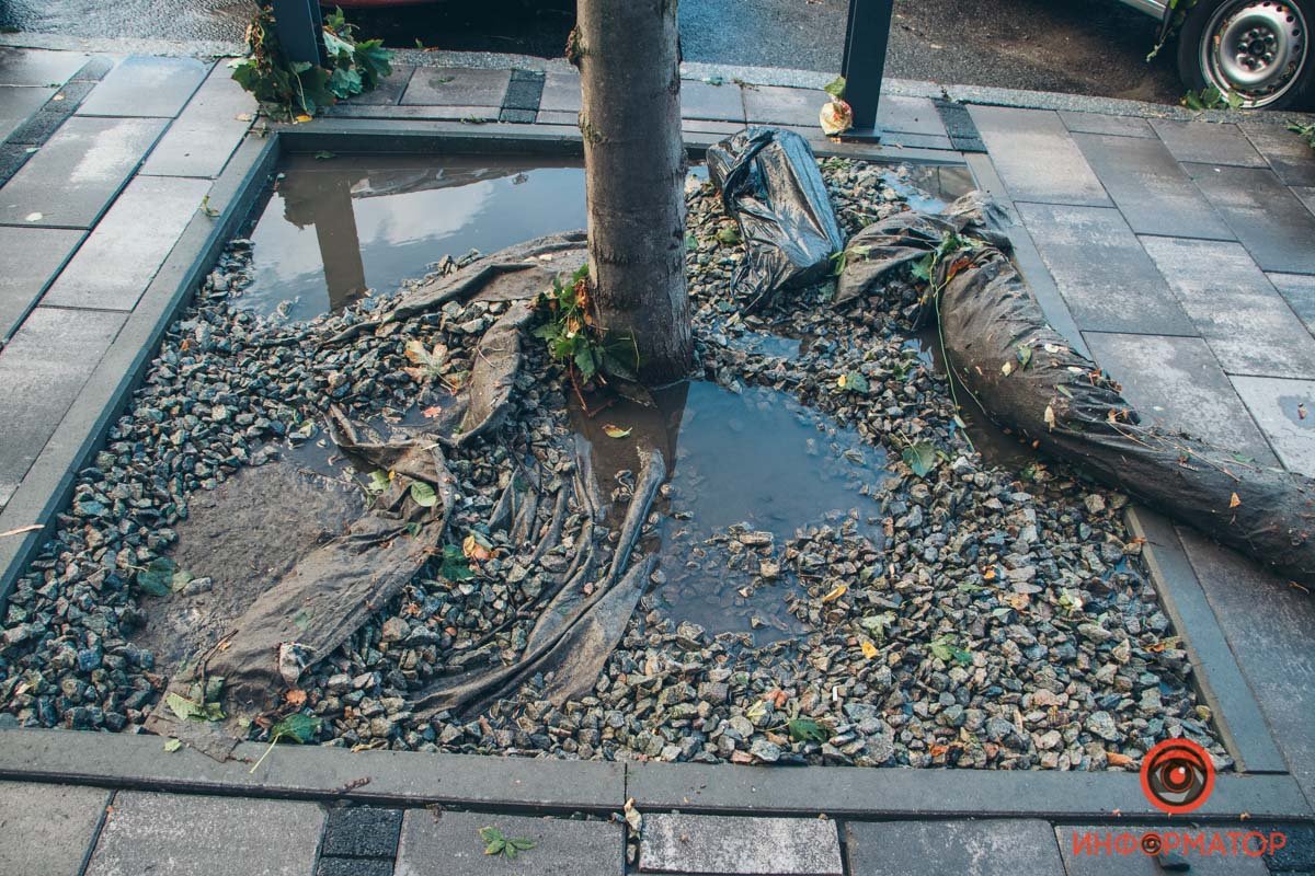 Затопленные машины с людьми, поваленные деревья, парализованное движение: последствия бури в Днепре 16