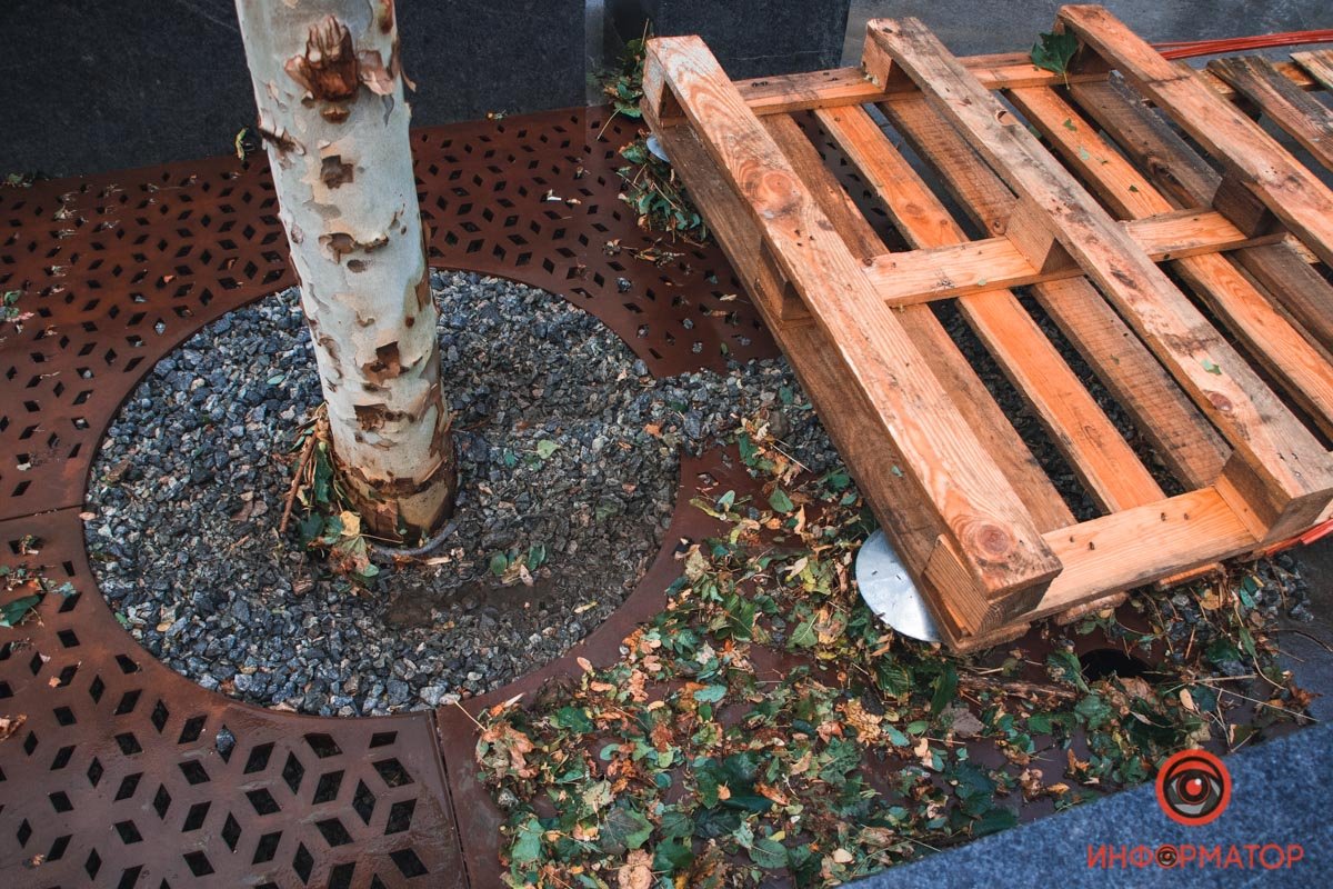 В Днепре из-за непогоды на Короленко из фонтанов била грязная дождевая вода 3